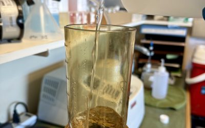 New Accreditation – TDS